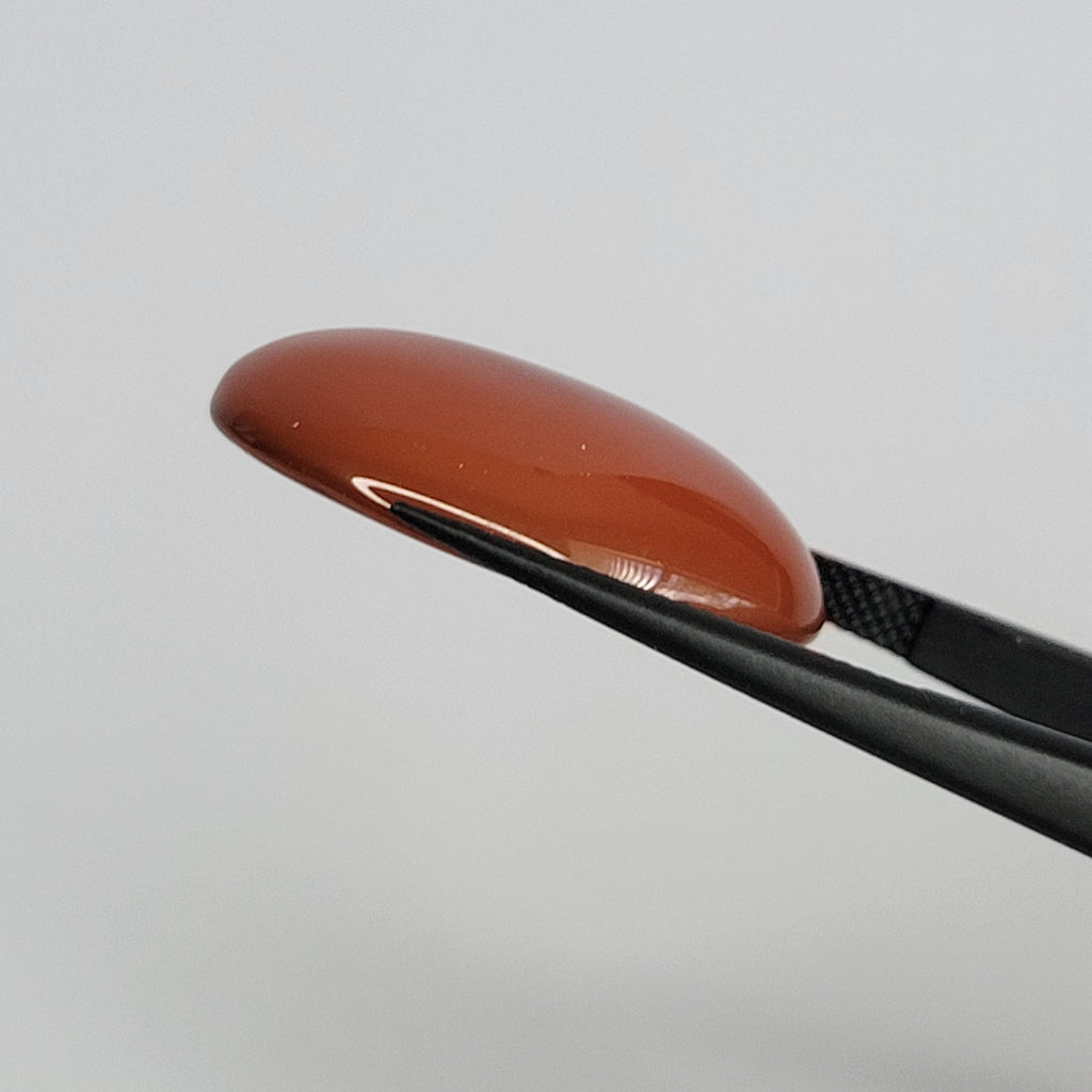 19.81ct Carnelian Cabochon