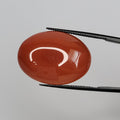 19.81ct Carnelian Cabochon