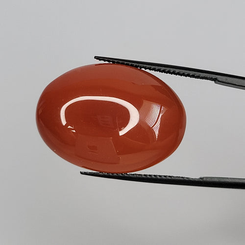 19.81ct Carnelian Cabochon